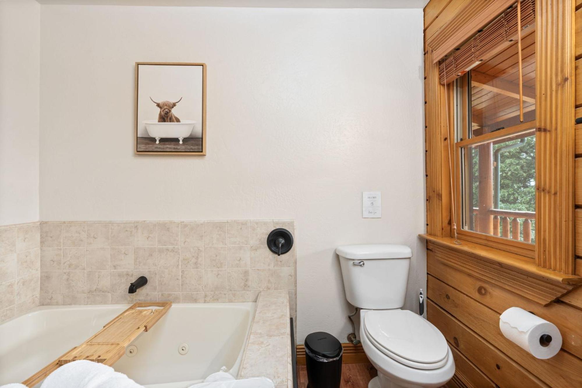 Log Oasis With Spectacular Views & Stargazing