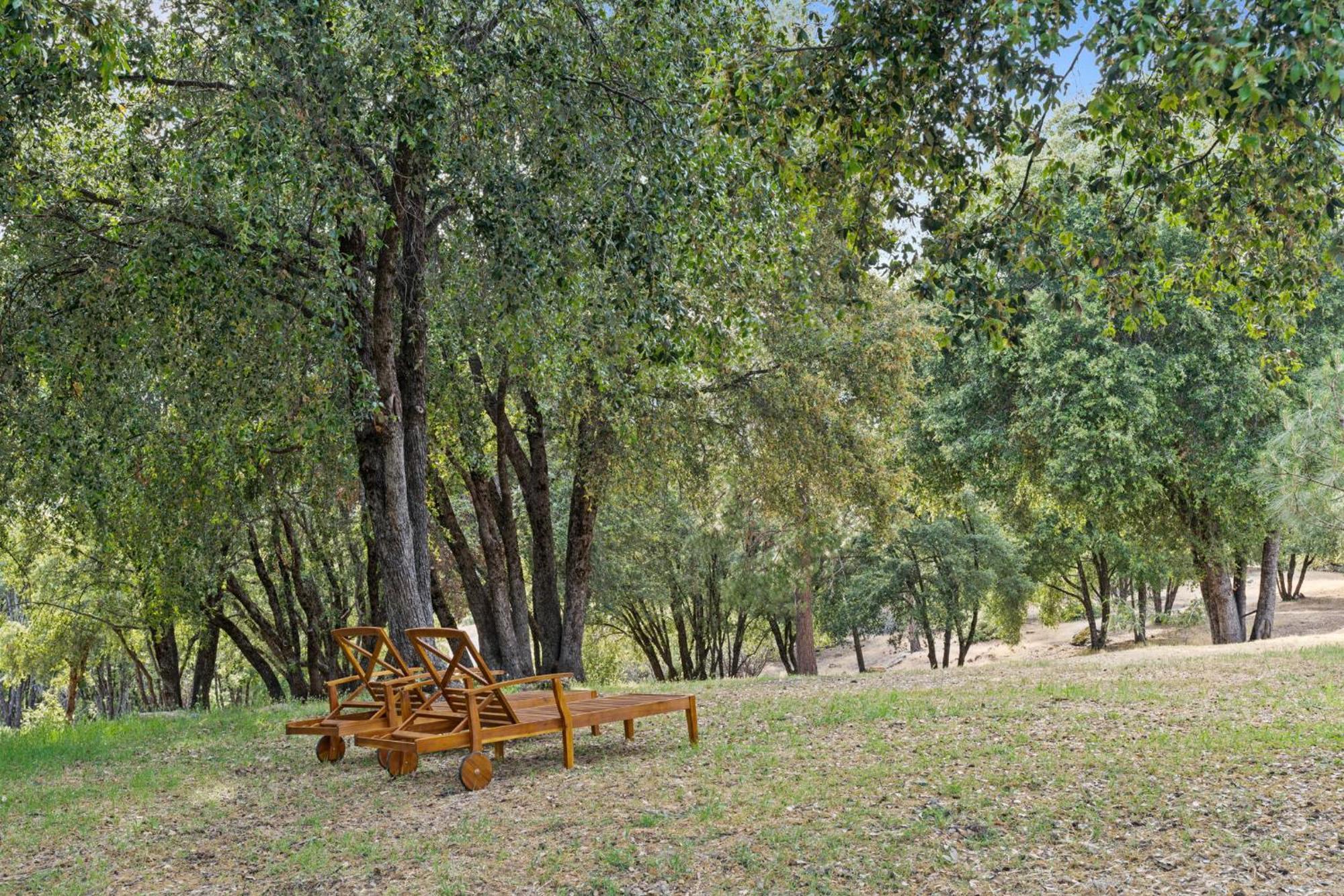 Log Oasis With Spectacular Views & Stargazing Mariposa